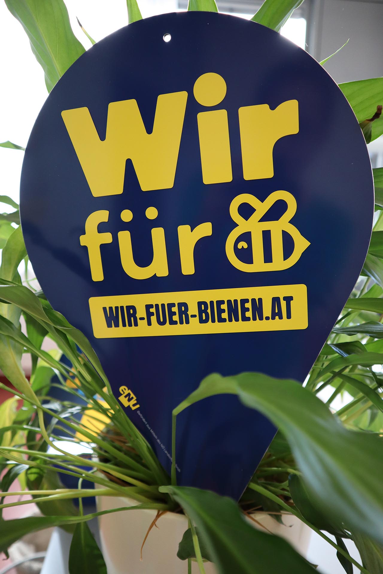 Wir für Bienen - Der Name ist Programm